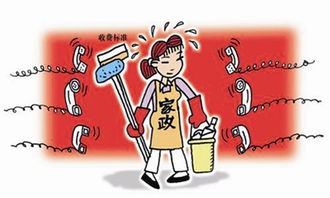 家政服务 法治保障下的规范发展之路