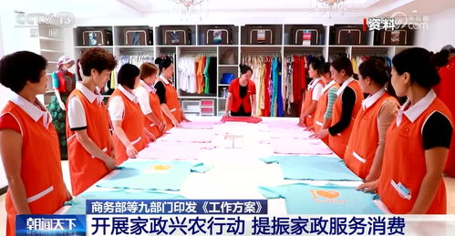 家政兴农 提振家政服务消费，助力推进乡村全面振兴